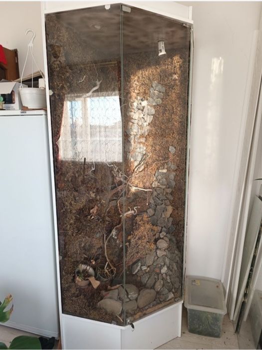 Терариум отдам даром бесплатно самовывоз