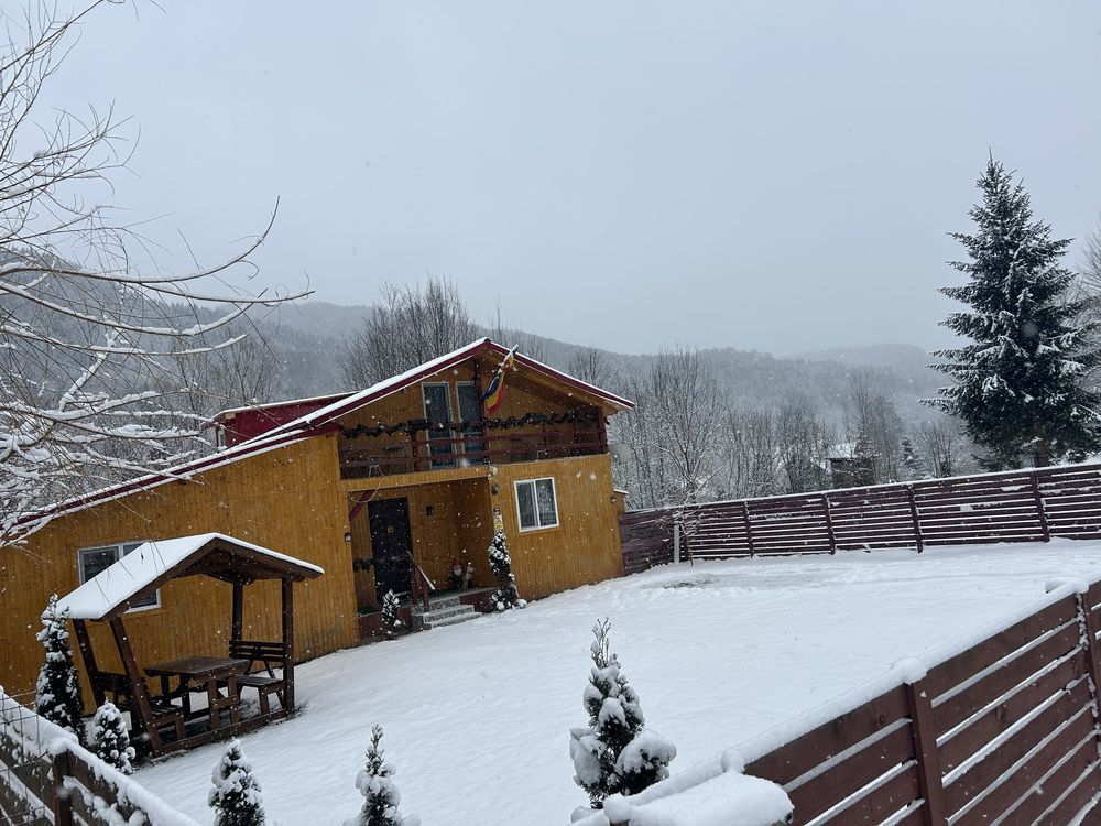 Casa/Cabana la munte de vănzare.