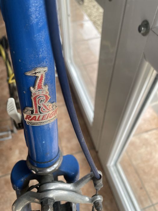 Vand cursiera englezeasca