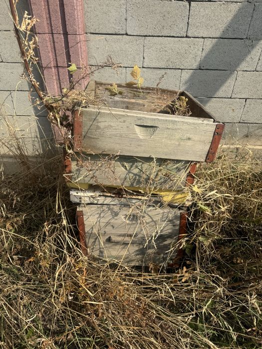 Пчелинные ульи, как есть, самовывоз