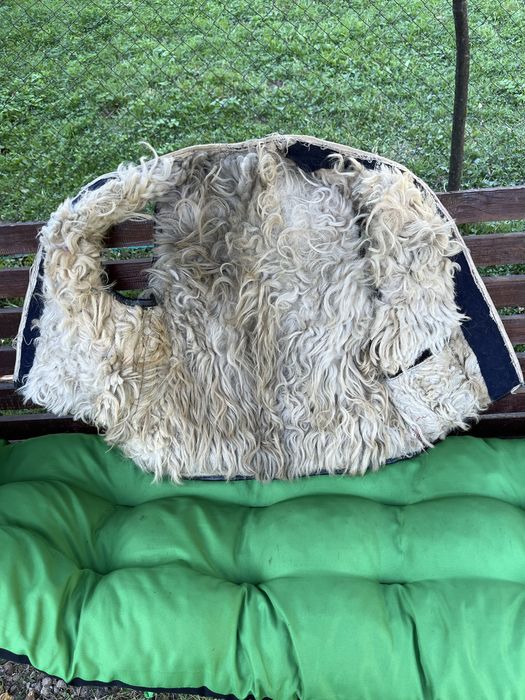 Pieptar taranesc