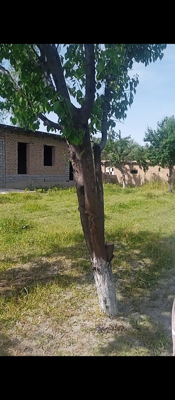 Uy sotiladi dala hovli