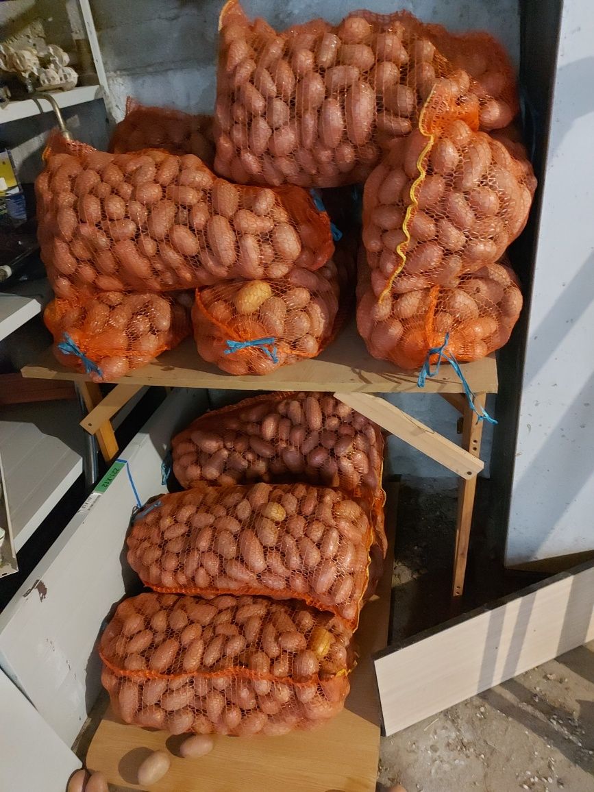 Vand cartofi noi