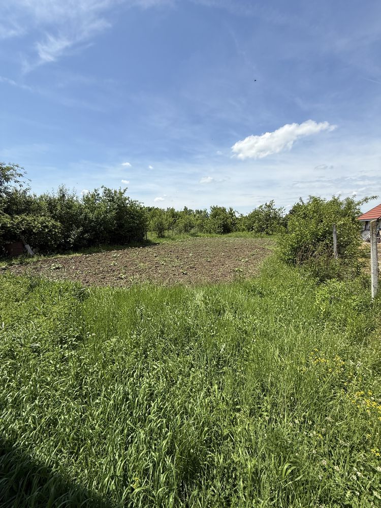 Ofer spre vânzare Casă P+M structură de lemn Strada Grădinarilor
