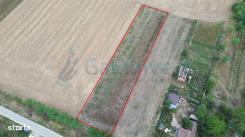 Gaminvest Teren intravilan de vanzare, Bihor,V4116
