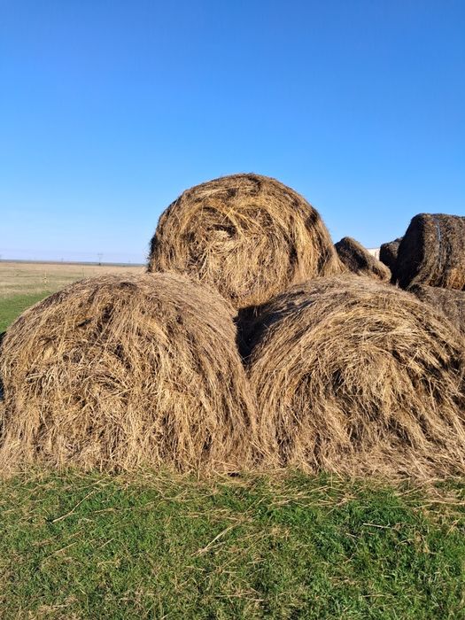 Baloti rotunzi de fan