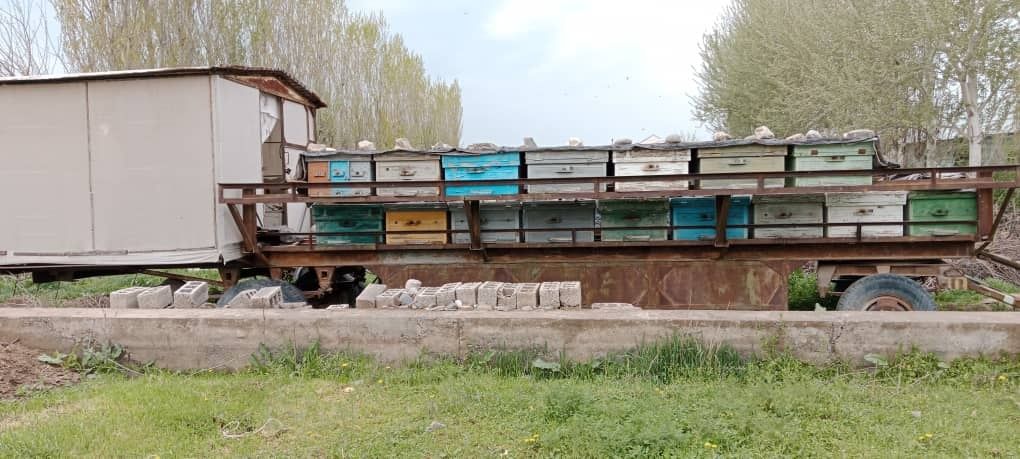 Продается готовый пчеловодческий бизнес - Asalari telejka sotiladi