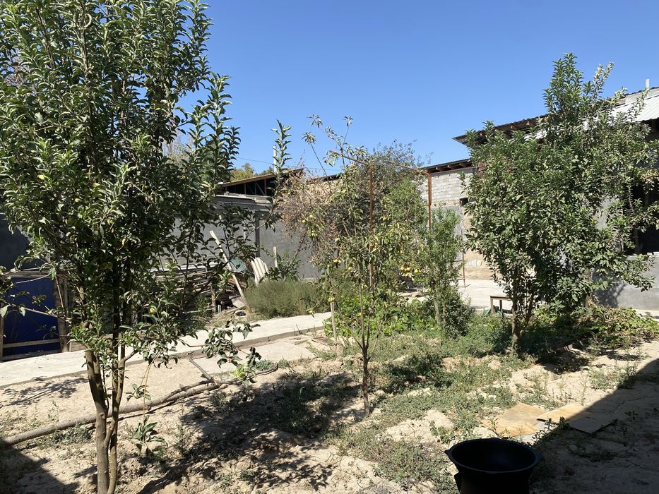 Yangi Xayot Serglida Uchastka Arendaga Beriladi Metro 1 bekatdan 300m