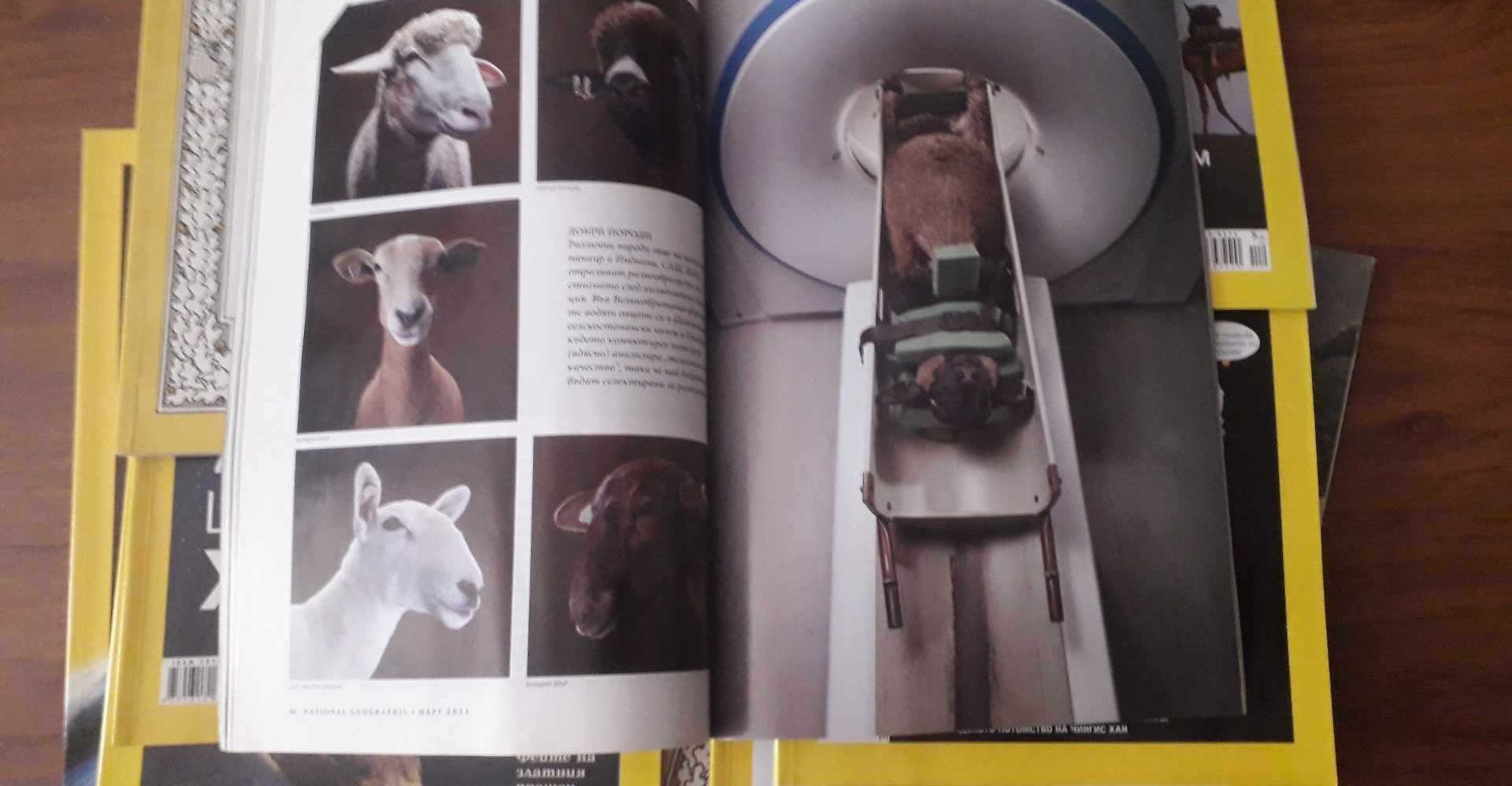 National Geographic март 2011, Колю Фичето, вековните градежи на гения