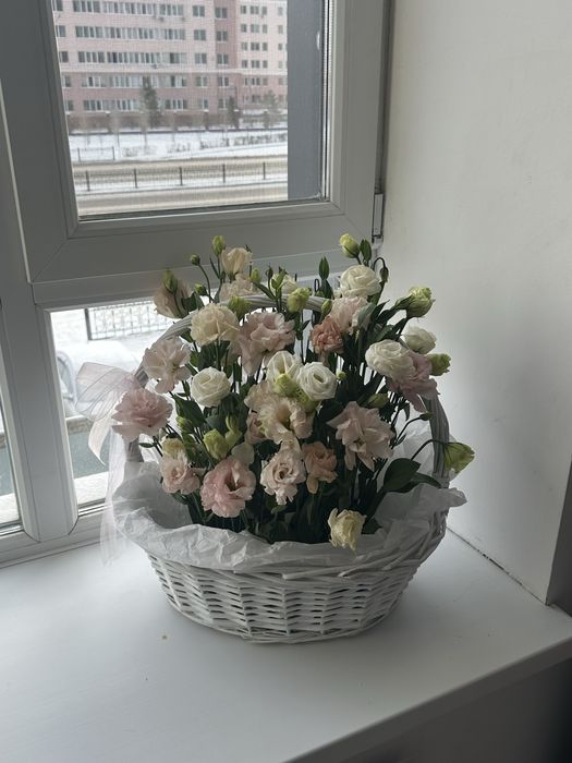 Цветы срочно недорого