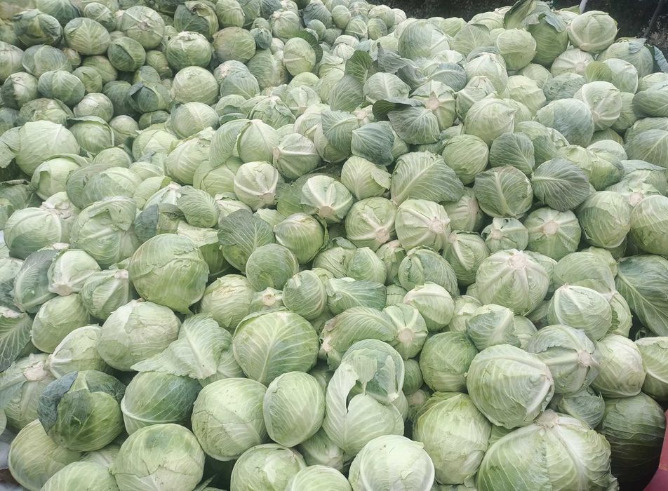 Домашняя Капуста и картошка