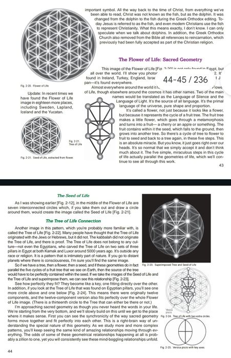 The ancient secret of the flower of life