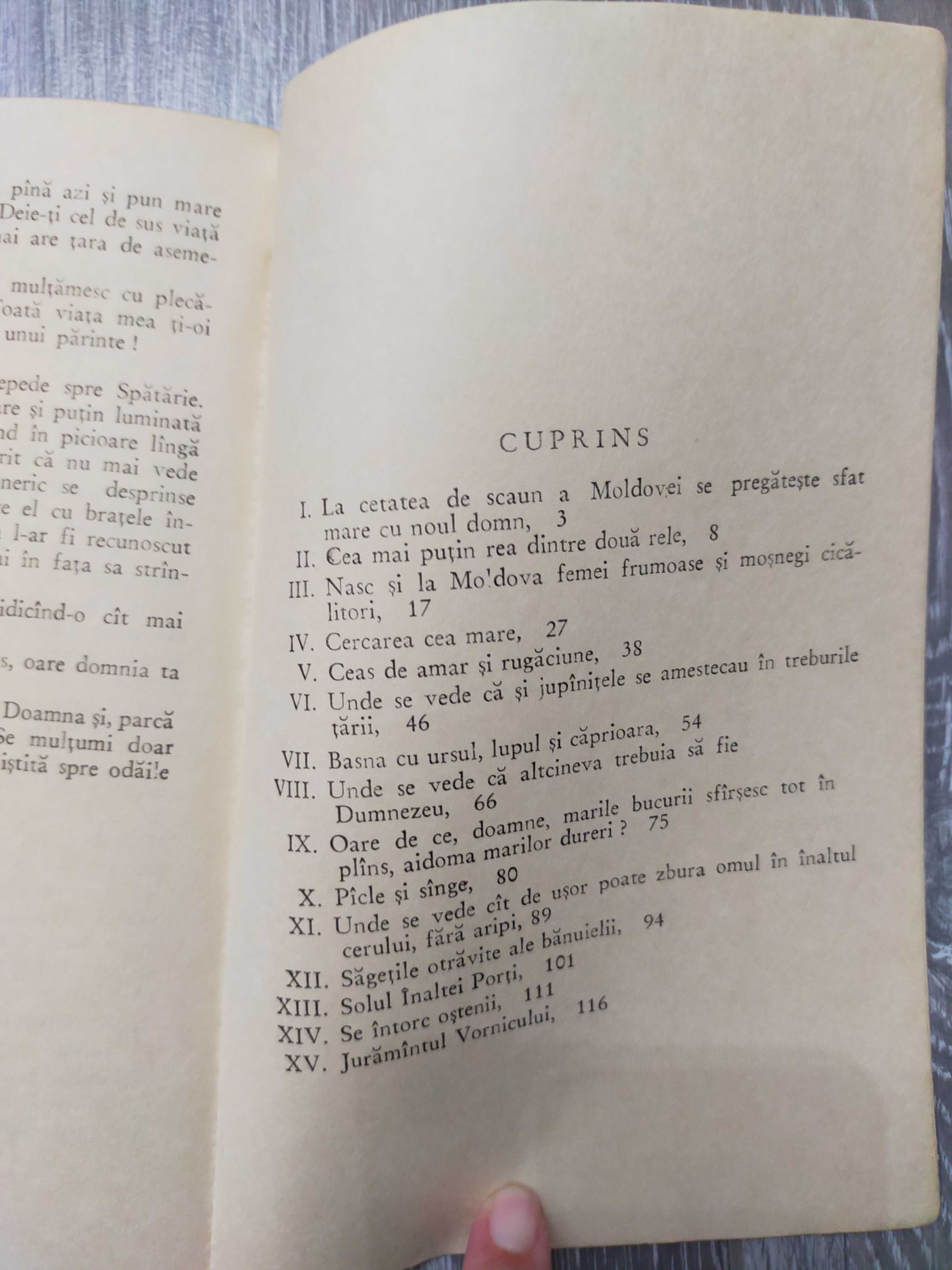 Vornicul Țării de Sus - Junimea