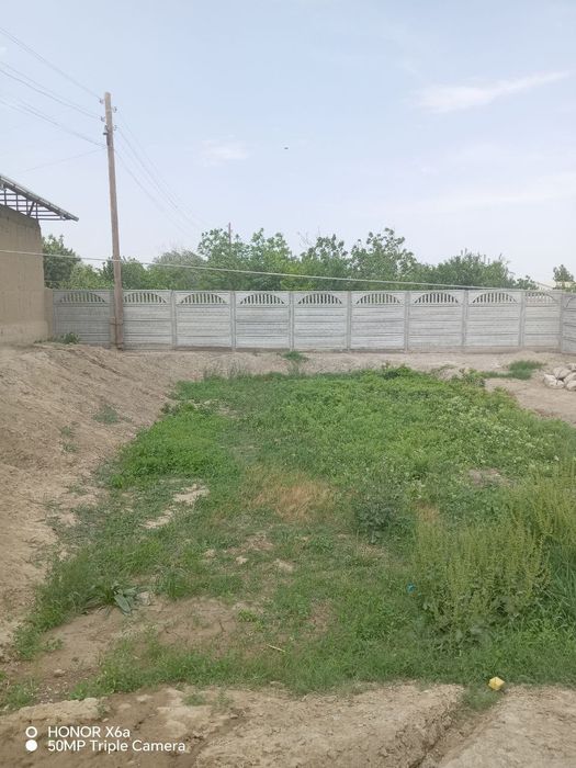 Хавли 7 ,25 сутг сотилади