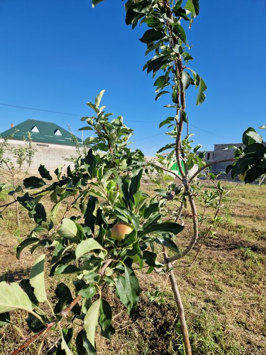 Продаётся участок