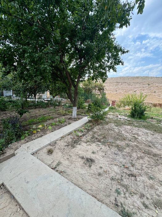 Дачный участок в Чирчике