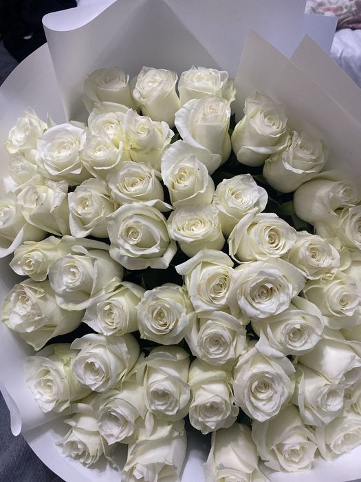 Белые розы , 51 штук.