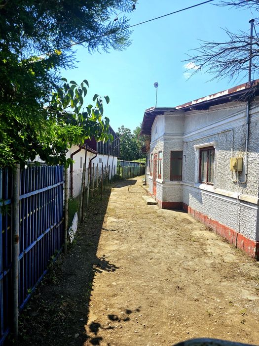 Teren de vanzare 919 mp Puchenii Mari
