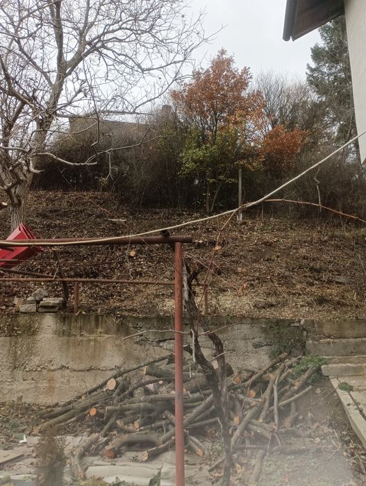 Почистване на запустели парцели и имоти