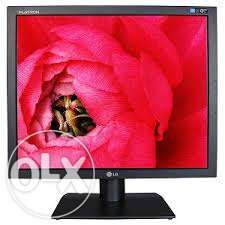 Monitor LG 1919S