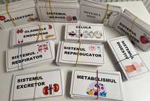 Flash cards admitere medicina Corint+Chimie