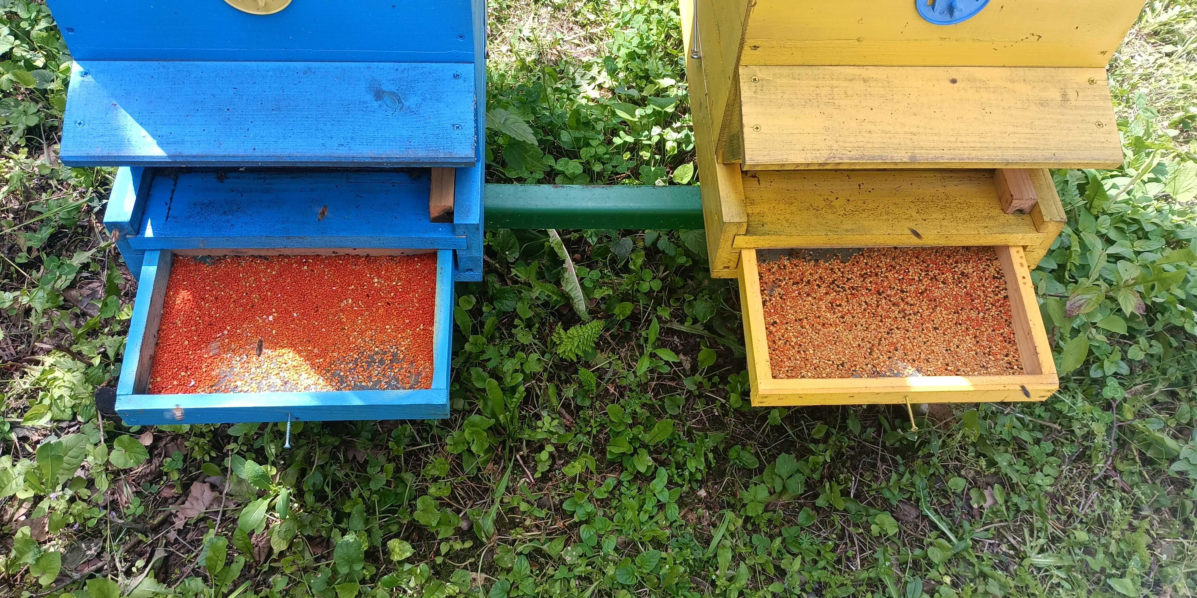 Пчелен прашец - реколта 2024