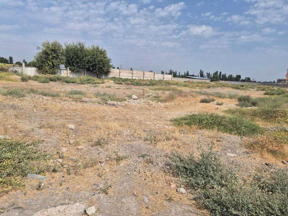 ХХХ Продаётся промзона 3 гектар Чиназ с Ж/Д веткой