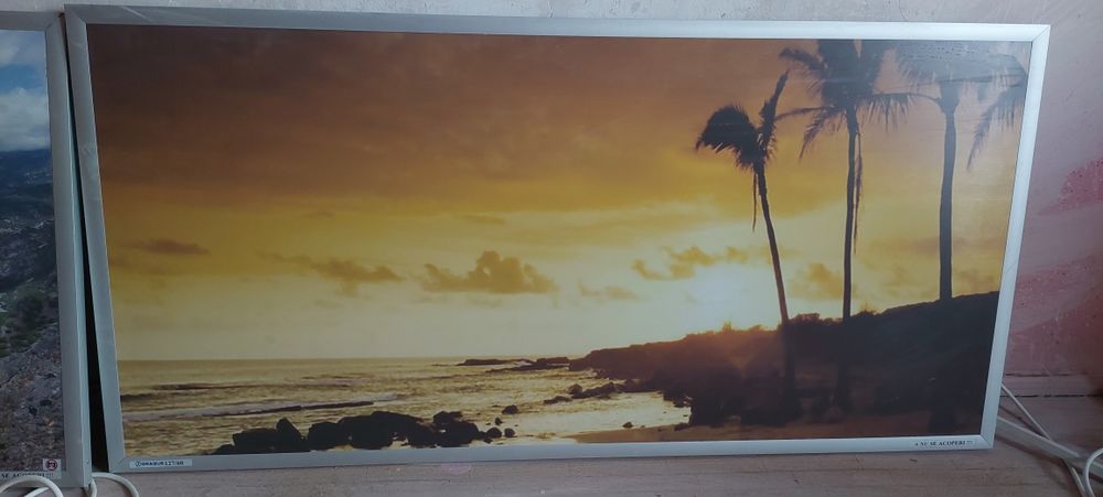 Vand panouri radiante cu termostat