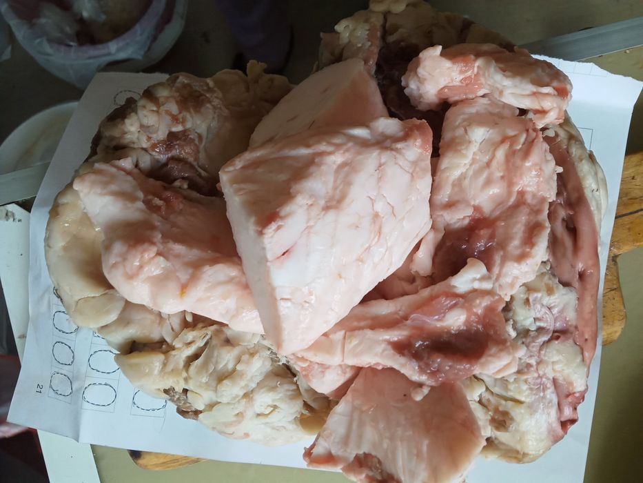 продам курдюк и бараний жир