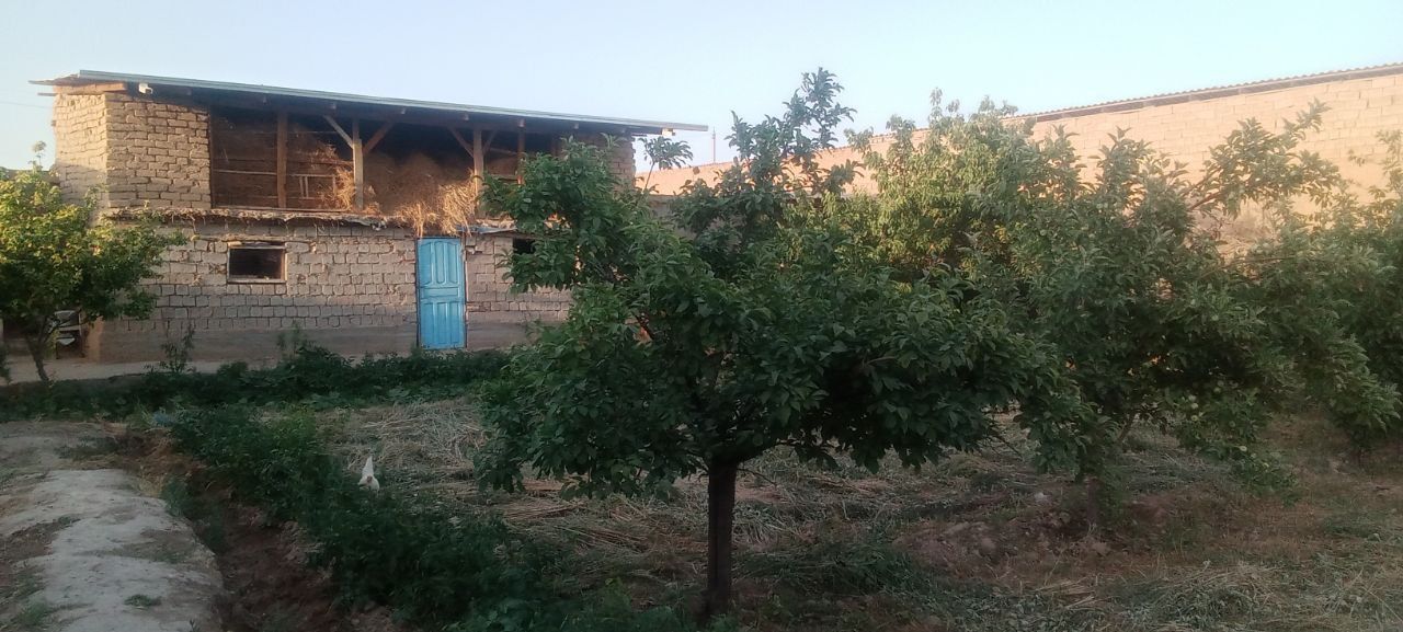Yer uchastkasi sotiladi