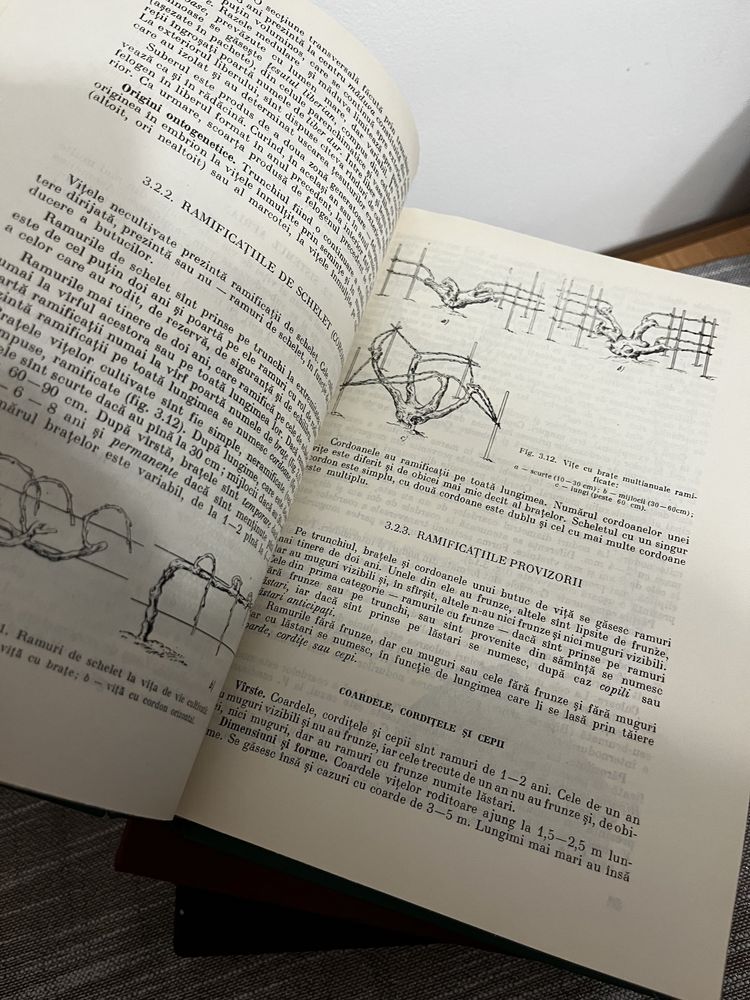 Pomicultura Viticultura Legumicultura