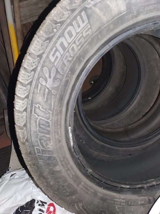 Шины зимние Cordiant