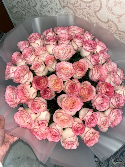 Роза свежий 51шт