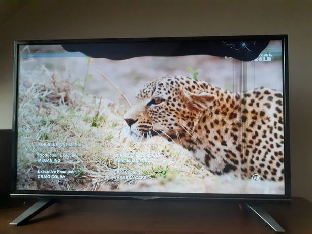 Televizor Tv LCD Horizon d 40 display defect