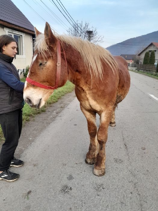 Vâd manz de un an și 5 luni