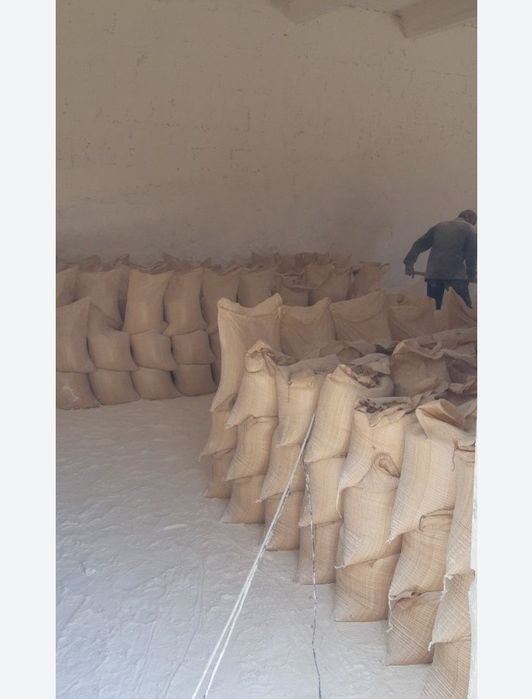 Gips Alibaster Гипс Алибастер