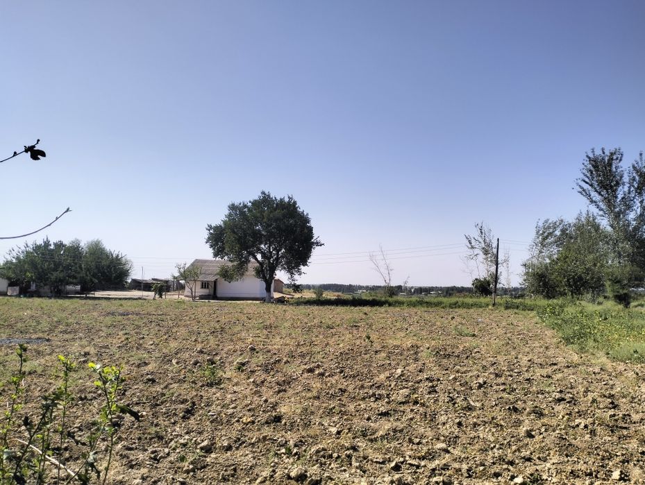 Deyarli tekinga beryapman