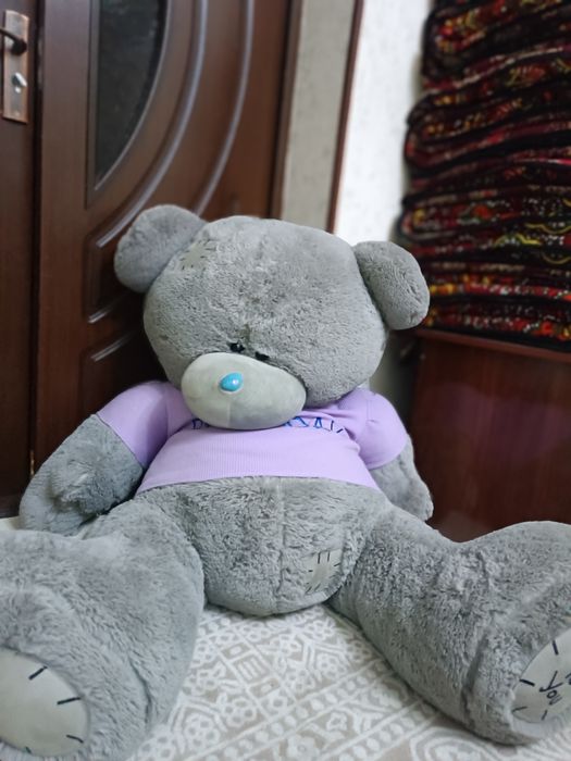 Teddy bear grayy