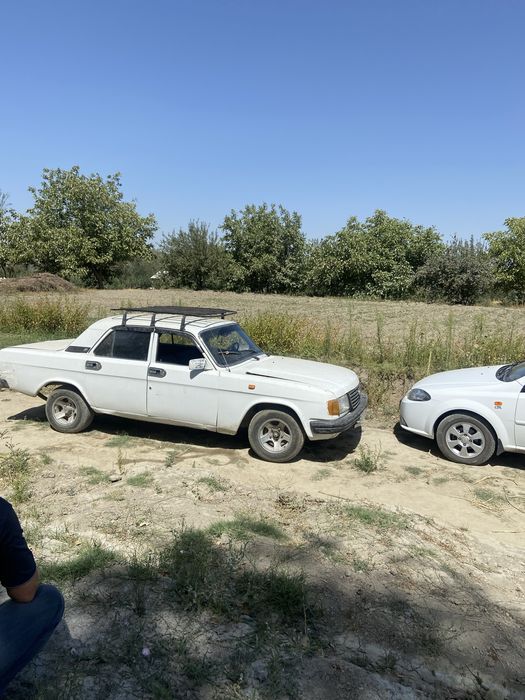 Gaz 31029 Volga