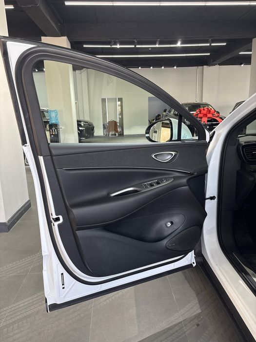 Sea Lion EV 06 Plus