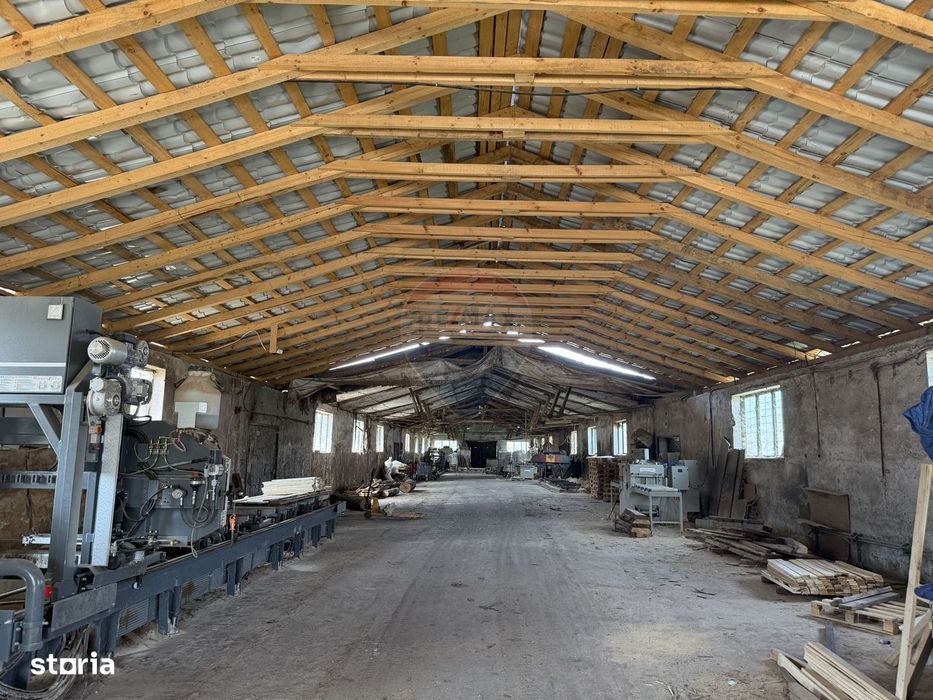 Hala-depozit de vanzare-800 mp-Sic- Investitie