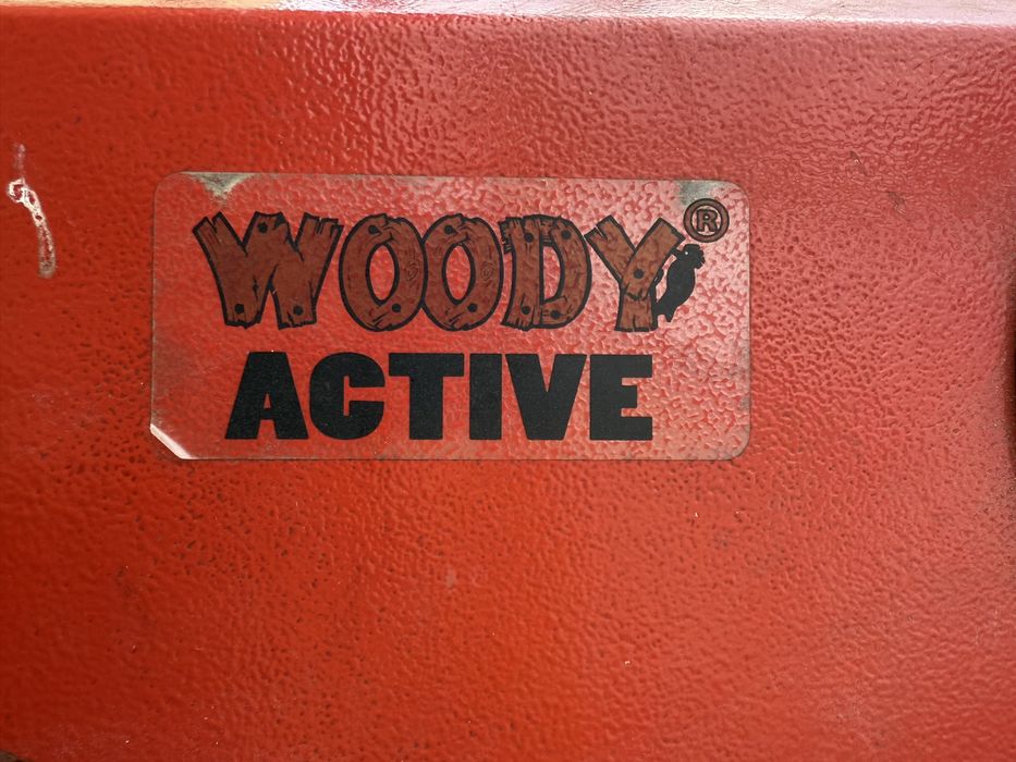 Centrala cazan pe lemne Woody Active 70kW 2 buc