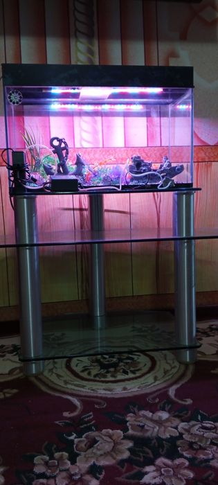 akvarium hamma narsasi bilan 100l