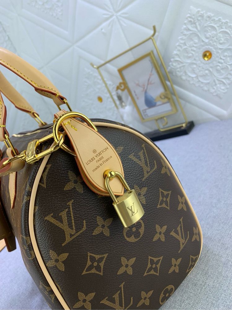 Geanta Louis Vuitton