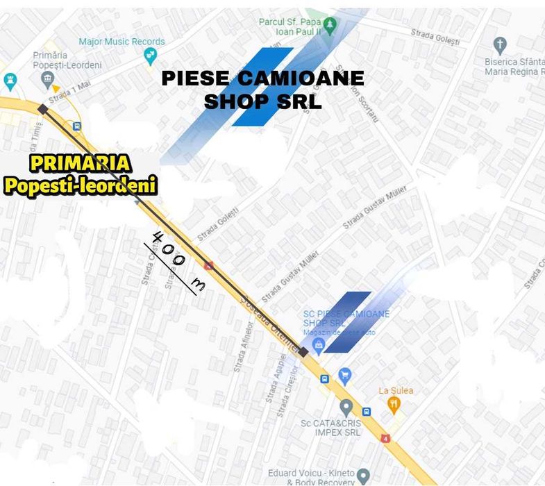 Arbore Cotit Vibrochen Pe Cuzinet T UTB U-650