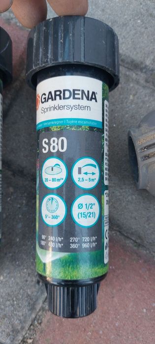 Aspresoare gardena