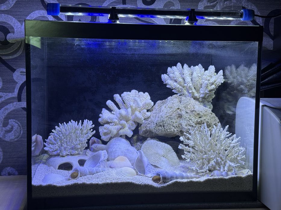 Аквариум комплект