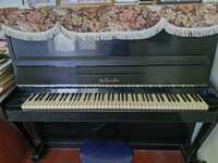 Fortepiano Ideal darajada.