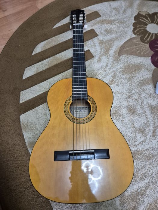 Chitara Harley Benton