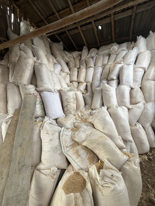 Vand rumegus la saci